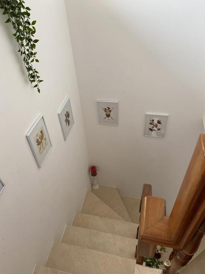דירות Góis Casa Da Avo Fatima מראה חיצוני תמונה